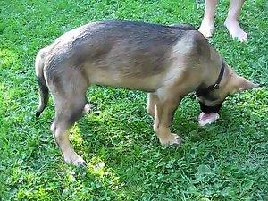 Mom's tits spied without her knowing it Picture 8