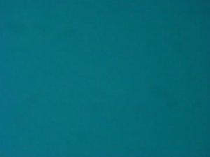 Daring peep during a tanning session Picture 2