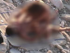 Hot girl fucks a guy on nudist beach Picture 4