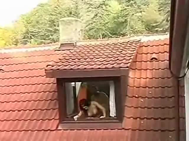 Neighbor chick bent over for window fuck