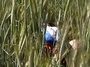 Like rabbits in the tall grass