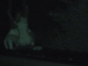 Voyeur caught lots of hard fucking in the night Picture 1