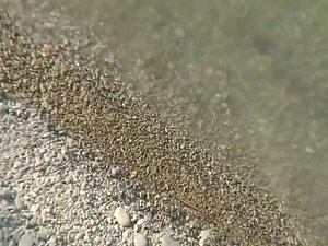 Like a sexy castaway Picture 5