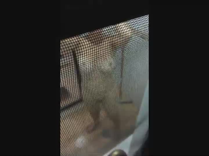 Naked Girls 18+ - Peeping Tom Shower Panties on face cum