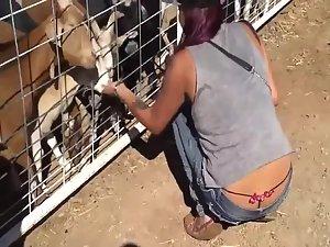 Girlfriend plays with the goats Picture 6