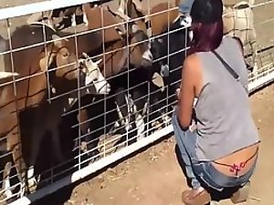 Girlfriend plays with the goats