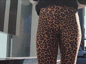 Safari on incredible ass in leopard leggings Picture 2
