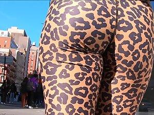 Safari on incredible ass in leopard leggings Picture 4
