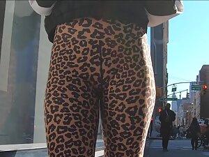 Safari on incredible ass in leopard leggings Picture 6