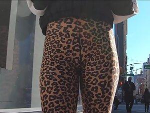 Safari on incredible ass in leopard leggings Picture 7