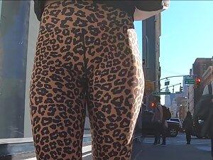 Safari on incredible ass in leopard leggings Picture 8